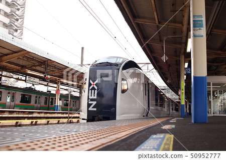 Narita Express Narita Express 50952777
