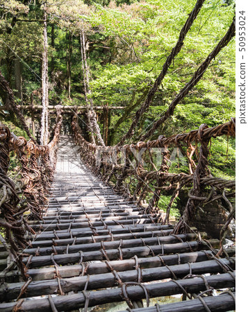 伊亞的藤橋和山谷中清澈溪流的美景 伊亞的藤橋和山谷中清澈溪流的美景 50953024
