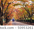 一輛公共汽車穿過Momiji隧道 50953261