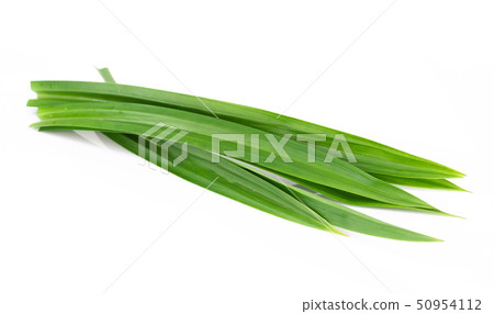 Fresh green pandan leaves isolated 50954112