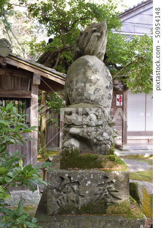 Akayama Shinin Temple Shiba Inu Akayama Shinin Temple Shiba Inu 50954148