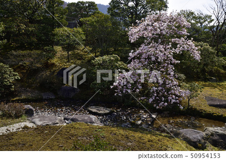 Shugakuin Rikyu Shimo Rikyu Shingo 50954153