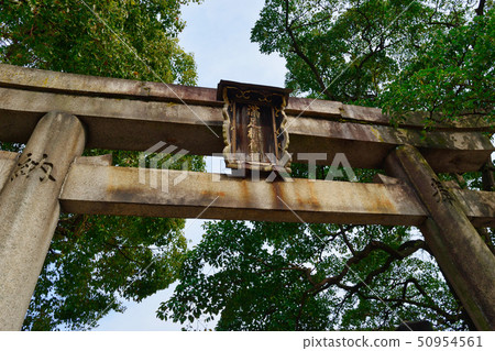 快樂稻荷神社（京都） 50954561