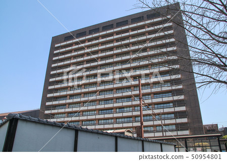 熊本市政廳 熊本市政廳 50954801