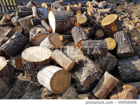 Pile of pine firewood. Wooden logs cut. 50956006