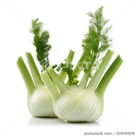 Fresh fennel bulb isolated on white Fresh fennel bulb isolated on white 50956989