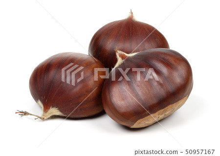 Chestnuts isolated on white background Chestnuts isolated on white background 50957167