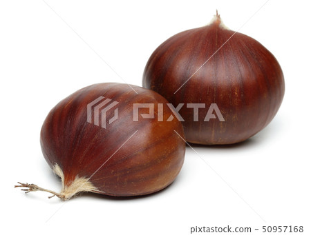 Chestnuts isolated on white background Chestnuts isolated on white background 50957168