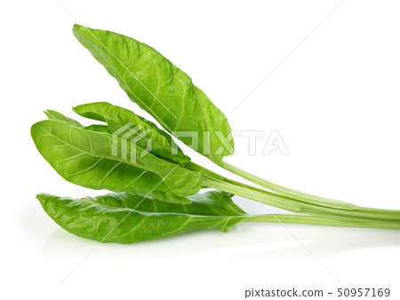 Fresh chard leaves isolated on white Fresh chard leaves isolated on white 50957169