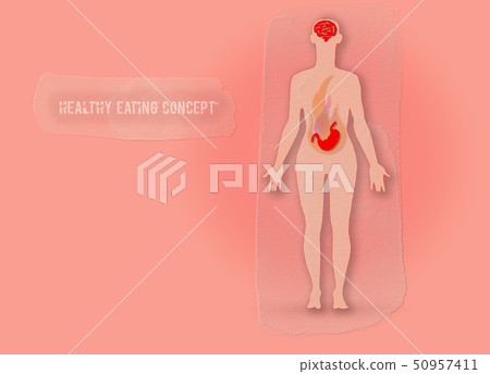 Illustration. Healthy eating concept.  50957411