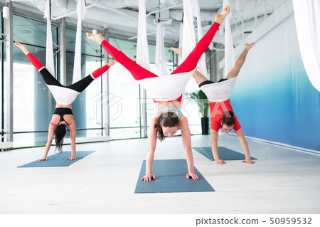 Three people standing on their arms while doing aerial yoga Three people standing on their arms while doing aerial yoga 50959532
