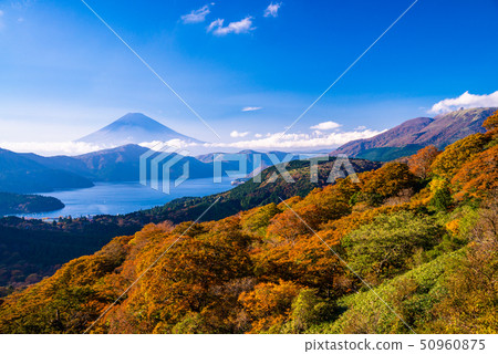（神奈川縣）秋葉的箱根Okan的富士山 50960875