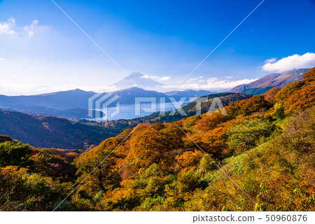 （神奈川縣）秋葉的箱根Okan的富士山 50960876