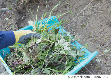 除草工作 除草工作 50961027