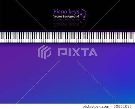 Vector illustration of top view Piano keys Vector illustration of top view Piano keys 50961055