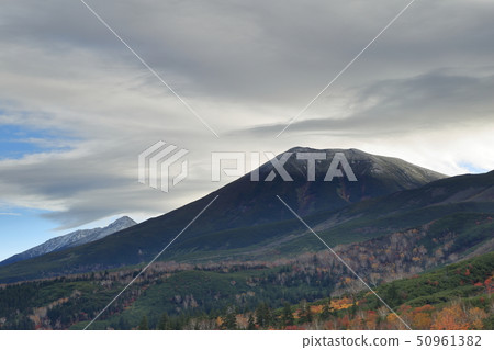 Tokachi-dake Mochidakedai(北海道/別町/ Mochidakedai)的秋葉 Tokachi-dake Mochidakedai(北海道/別町/ Mochidakedai)的秋葉 50961382