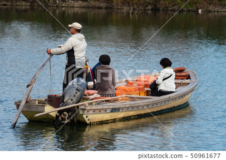 Passing arrows Passing arrows 50961677