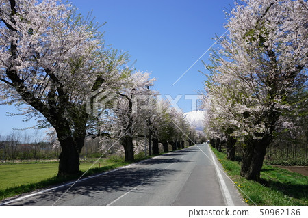 Scenery to see Iwate mountain Scenery to see Iwate mountain 50962186