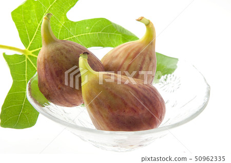 figs figs 50962335
