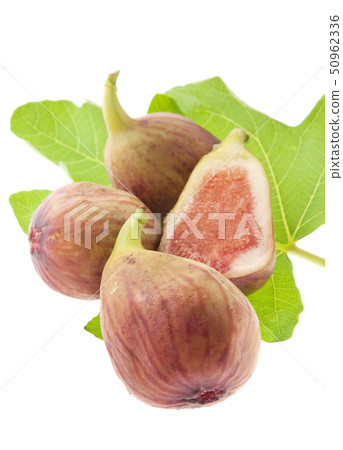 figs figs 50962336