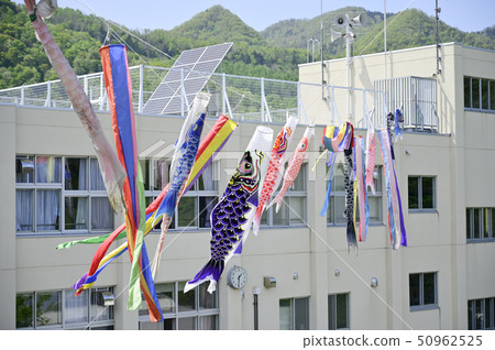 小學鯉魚流光(偽空中拍攝) 小學鯉魚流光(偽空中拍攝) 50962525
