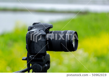 Rainy wet SLR camera 50962819