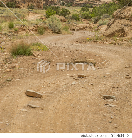 Winding rocky off road trail in Moab Utah 50963430
