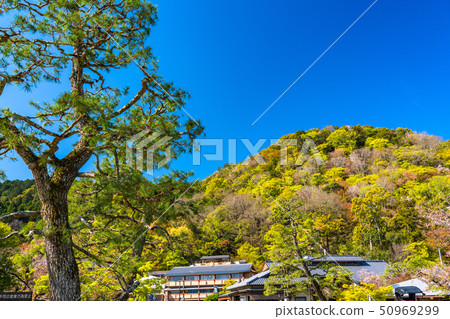 《Kyoto Prefecture》Around Togetsukyo Bridge/Cityscape 《Kyoto Prefecture》Around Togetsukyo Bridge/Cityscape 50969299