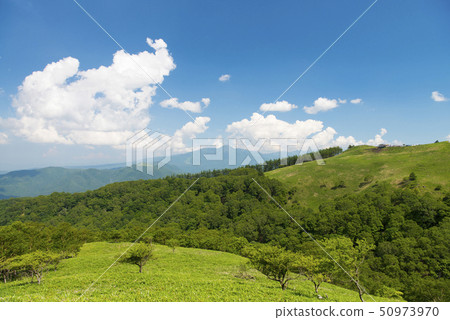 信州高原 50973970