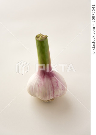 New garlic New garlic 50975541