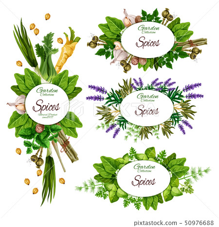 Herbs, spices and organic farm herbal seasonings Herbs, spices and organic farm herbal seasonings 50976688