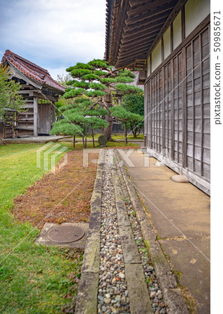 鶴岡市Tsuchiokan校園風景 鶴岡市Tsuchiokan校園風景 50985671