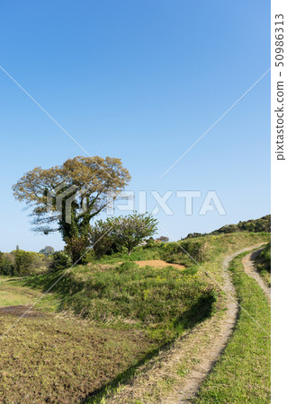 鄉村景觀 鄉村景觀 50986313
