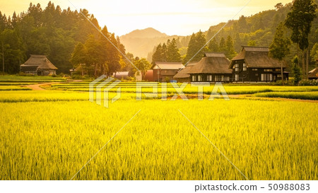 Summer rural landscape (at dusk of Ashinoshima ring village) Summer rural landscape (at dusk of Ashinoshima ring village) 50988083