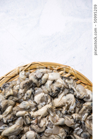 Close up of winter food ingredients Isolated on white background - salsify, oyster, mussel, shrimp and clam 088 Close up of winter food ingredients Isolated on white background - salsify, oyster, mussel, shrimp and clam 088 50995209