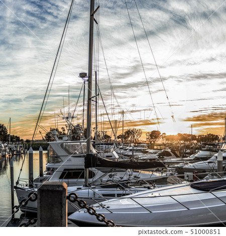White yachts and San Diego harbour at sunset White yachts and San Diego harbour at sunset 51000851