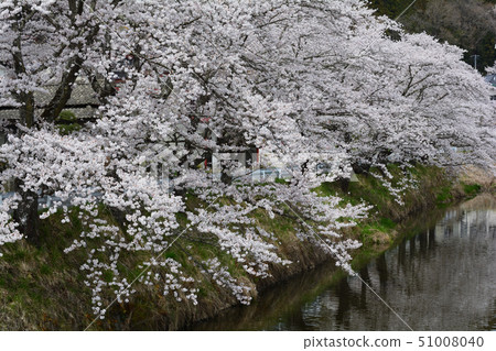 I went to Ishikawa Sakuraya # 5 51008040