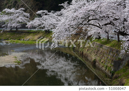 I went to Ishikawa Sakuraya # 2 51008047