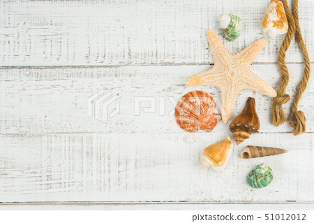 fish star and sea shells on the wooden background  51012012
