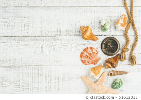 fish star and sea shells on the wooden background fish star and sea shells on the wooden background 51012013