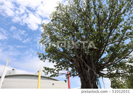 Nagoya International Convention Center Nagoya International Convention Center 51012031