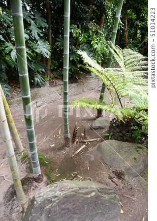 Izumi Samurai residence in early summer Izumi Samurai residence in early summer 51014223