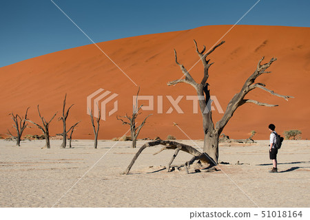 Asian photographer in deadvlei, Namibia 51018164