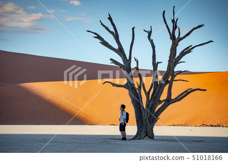 Asian tourist standing with dead tree in deadvlei Asian tourist standing with dead tree in deadvlei 51018166