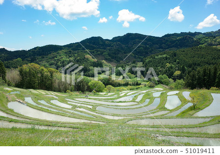 Kamogawa Oyama Senjita 51019411