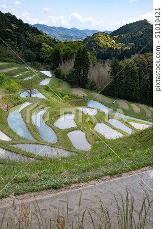 Kamogawa Oyama Senjita 51019421