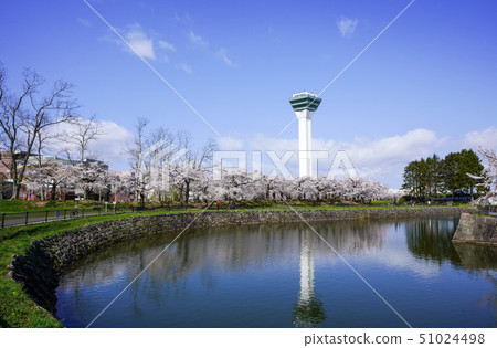 五棱郭塔五棱郭公園函館市 51024498