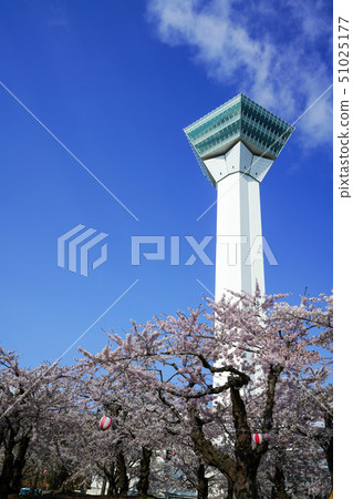 五棱郭塔五棱郭公園函館市 五棱郭塔五棱郭公園函館市 51025177