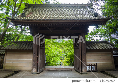[Kanagawa Prefecture] General gate of Kita Kamakura Engakuji Temple 51029202