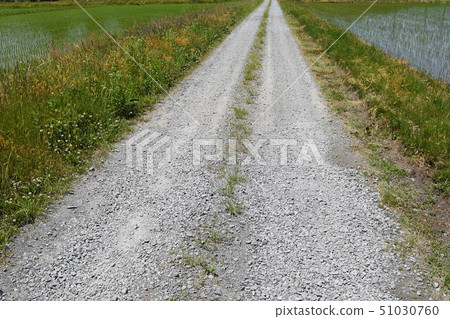 Farm road and countryside Farm road and countryside 51030760